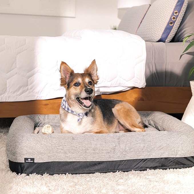 Bedgear Performance Dog Bed - Small - Durable Pet Bed with Washable Cover - Removable Pad for Travel