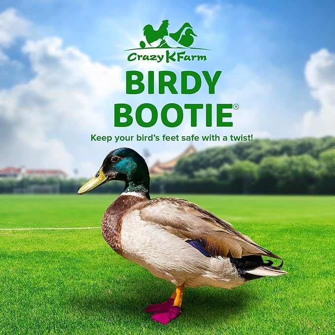 Duck Shoes for Injured Feet – Protective Neoprene Footwear for Ducks, Protective Shoes for Birds with Injured feet, Bumblefoot Relief - Small, 2.5’’ Max. Inside Width - Pink