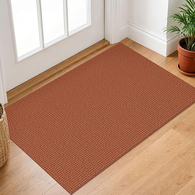 IOHOUZE Small Area Rug 2x3 Washable Woven Rugs