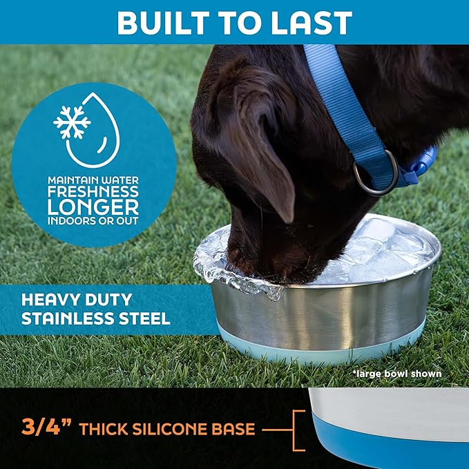 Master Pet Supply Stainless Steel Dog Bowls Set of 2 with Extra Thick Silicone Base - 4 Cup (32 oz) Mango Tango, Non-Slip, Dishwasher Safe Metal Bowls, Pet Dog Food Bowl for Dogs, Cats, Anti Rust