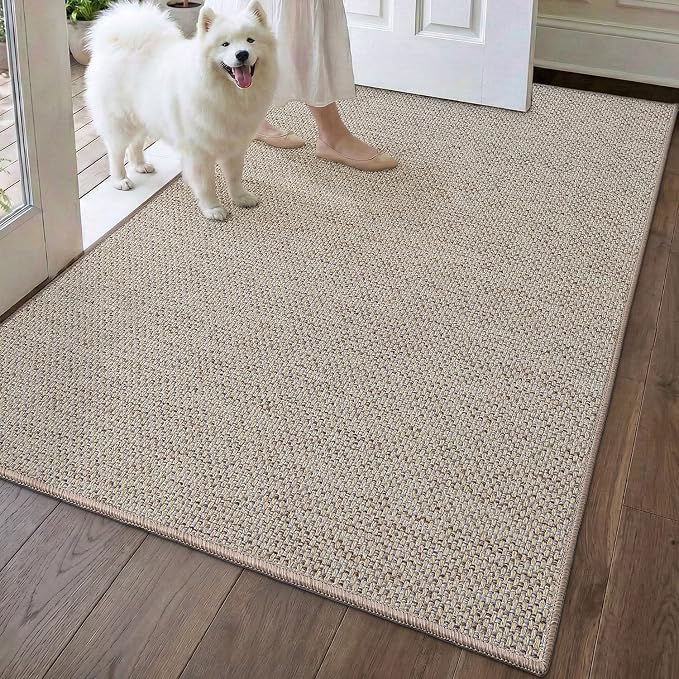 DEXI Ultra Thin Door Mat Indoor Entrance 32x48, Non Slip Rubber Backed Entryway