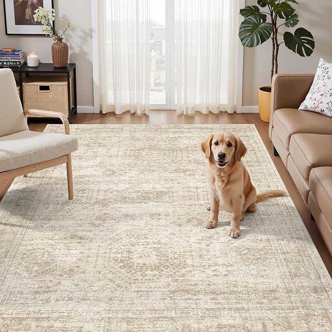 3x5 Rug, Small Area Rug for Kitchen, Machine Washable Non-Slip Throw Rug