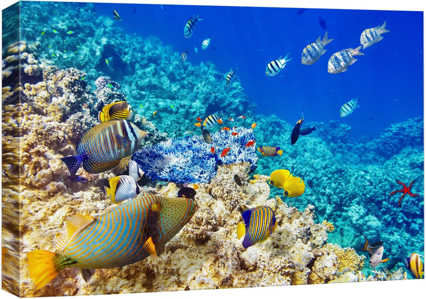 wall26 Canvas Print Wall Art Underwater Neon Blue Teal Ocean Water Fish Nature Animals Photography Realism Rustic Scenic Landscape Wilderness Earth for Living Room, Bedroom, Office - 16"x24"