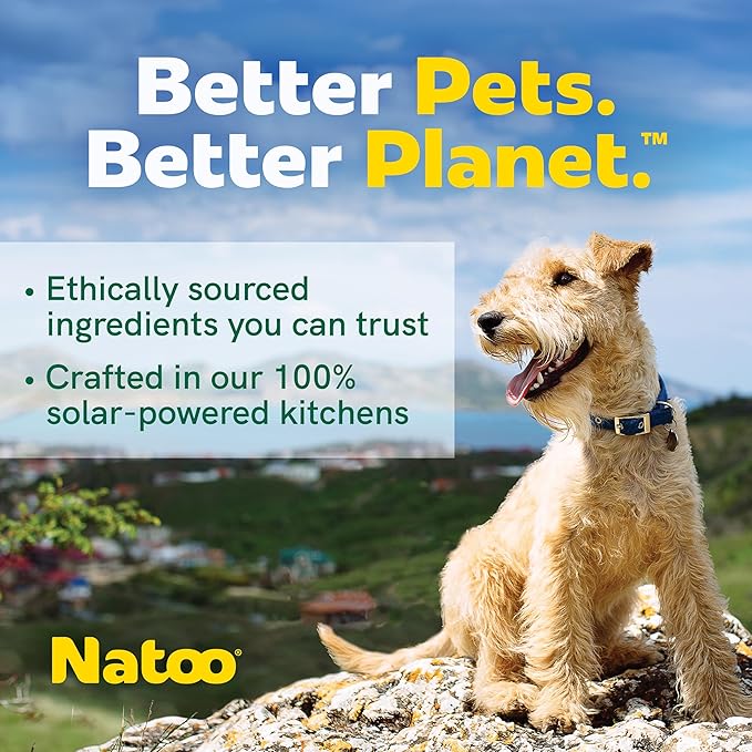 NATOO Biscuits for Small Dogs & Puppies Crunchy Dog Treats, Oats & Berry Healthy Natural Canine Biscuits, Rich in Omega 6, Prebiotics & Fiber, Antioxidants for Immunity (8 oz)