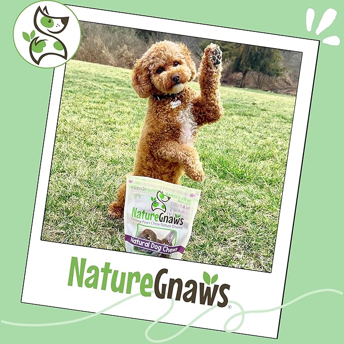 Nature Gnaws Pork Bully Stick Pretzels for Dogs 4-5" (15 Count) - Long Lasting for Light Chewers and Small Dogs - Natural Bacon Dog Chew Treats - Rawhide Free