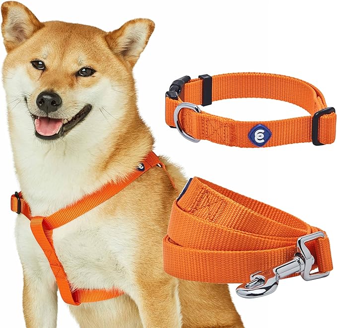 Blueberry Pet Essentials Dog Harness and Leash Set - Large Orange Vermilion Dog Collar and Leash Set for Eco-Conscious Owners, Adjustable, Durable, 4 ft Leash, Ideal for Active Pet Parents