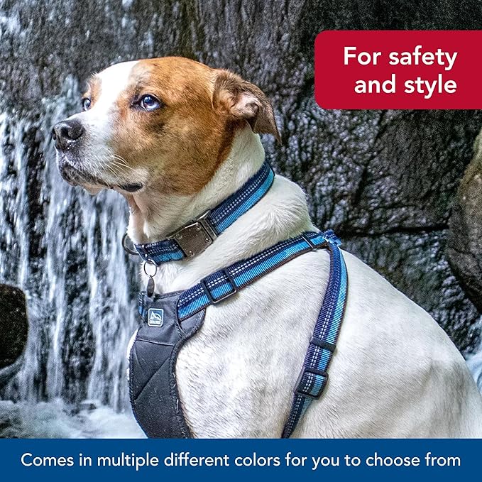 Coastal Pet K9 Explorer Reflective Adjustable Dog Collar - Comfortable Collar for The Outdoors - Durable, Lightweight Accessory with Side-Release Buckle - Campfire Orange, 1" x 18-26"