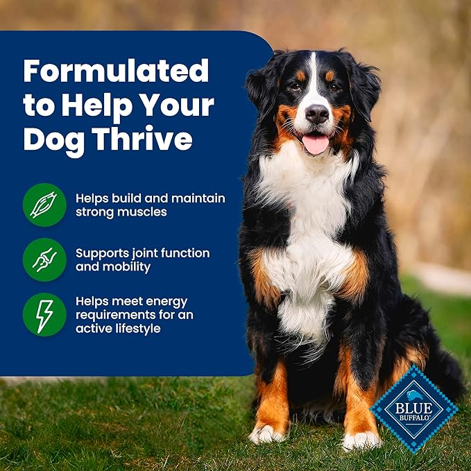 Blue Buffalo Life Protection Formula Adult Dry Dog Food, Helps Build and Maintain Strong Muscles, Made with Natural Ingredients, Lamb & Brown Rice Recipe, 40-lb. Bag