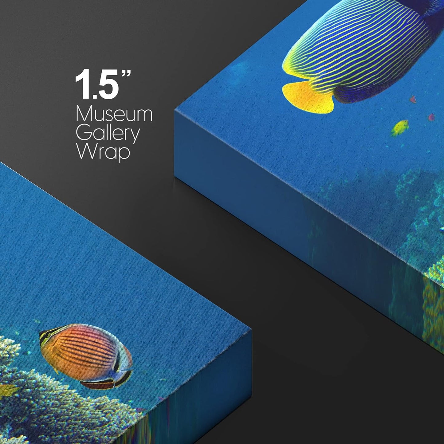 wall26 Canvas Print Wall Art Tropical Underwater Sea Coral Reef Fish Nature Animals Photography Realism Rustic Scenic Landscape Wilderness Earth Colorful for Living Room, Bedroom, Office - 16"x24"