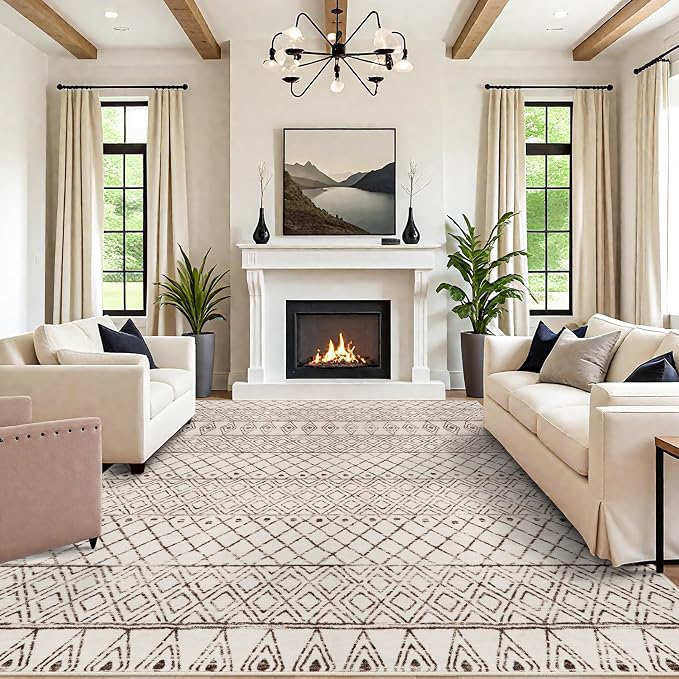 10 x 12 Area Rug