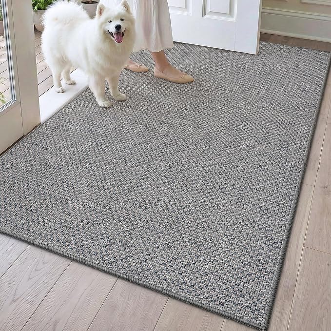 DEXI Ultra Thin Door Mat Indoor Entrance 48x72, Non Slip Rubber Backed Entryway
