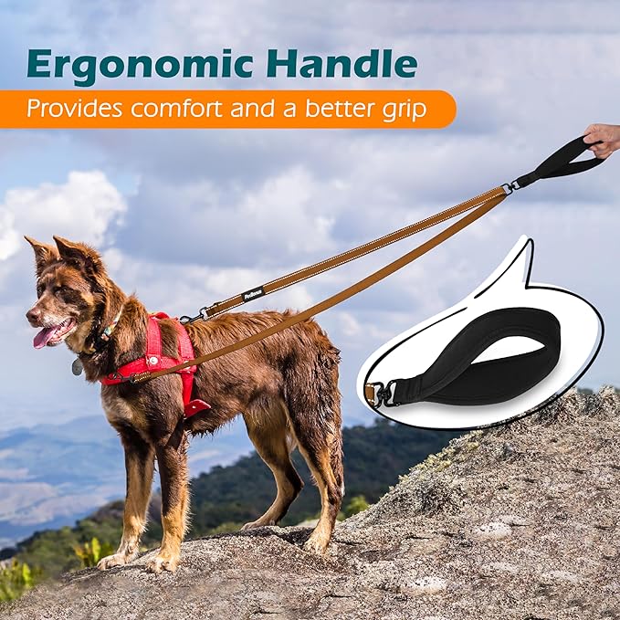 PetBonus Two Point Control Dog Leash, Works with No Pull Harnesses, No Tangle Training Leashes, Soft Padded and Reflective Walking Lead, Converts to Single Lead for Medium Large Dogs (Brown)