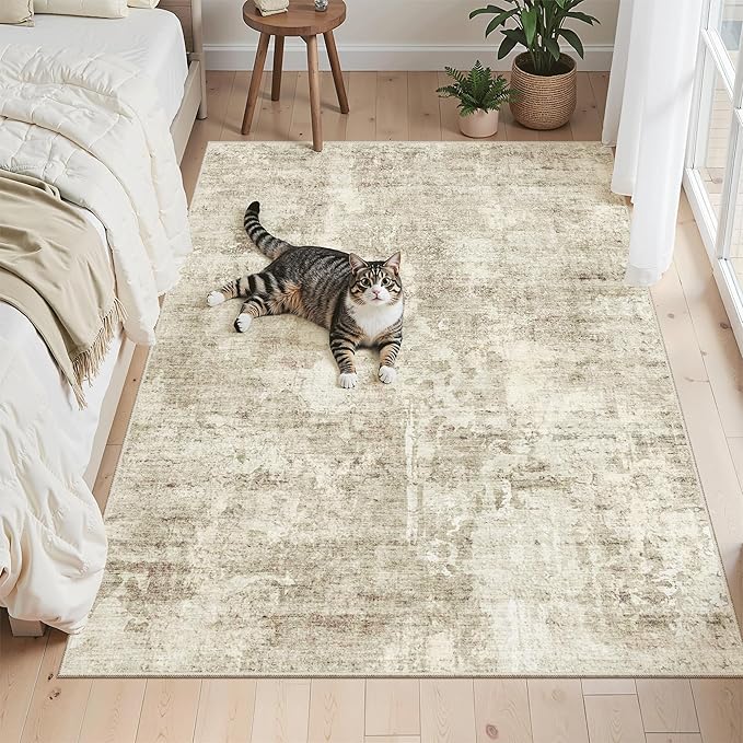 Soalmost 3x5 Rug, Small Area Rug