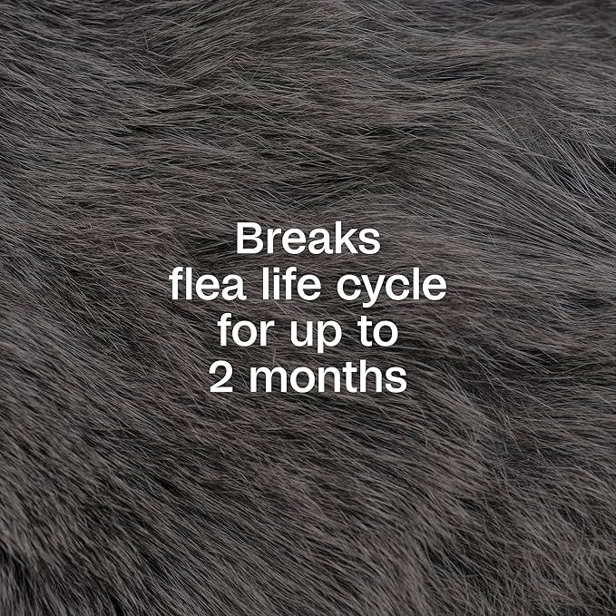 ADAMS Plus Flea & Tick Dog and Cat Spray, Kills Fleas & Ticks, Repels Mosquitoes, Prevents Flea Infestations for up to 2 Months, Flea Treatment for Dogs, Cats, Puppies, & Kittens, 16 Fl oz