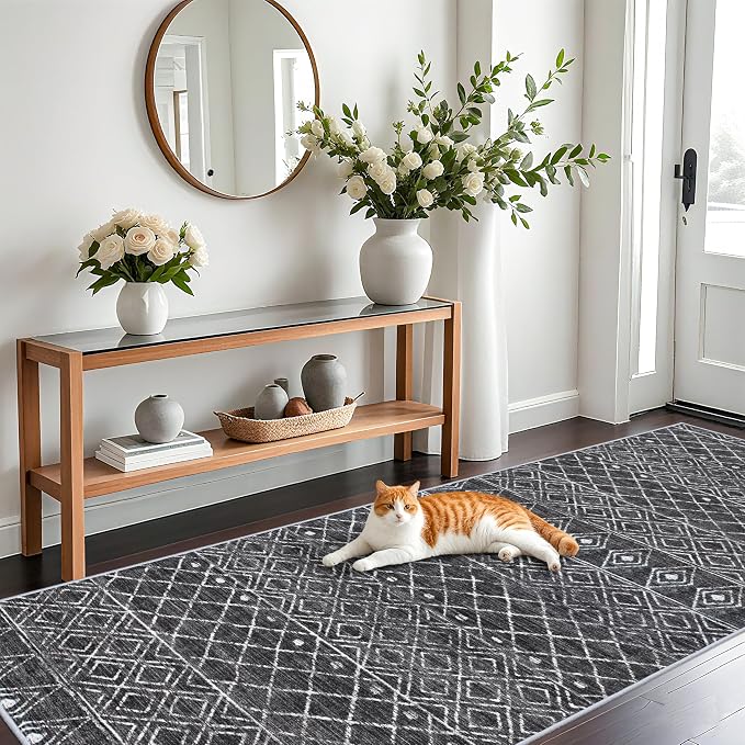 4x10 Rug for Hallway