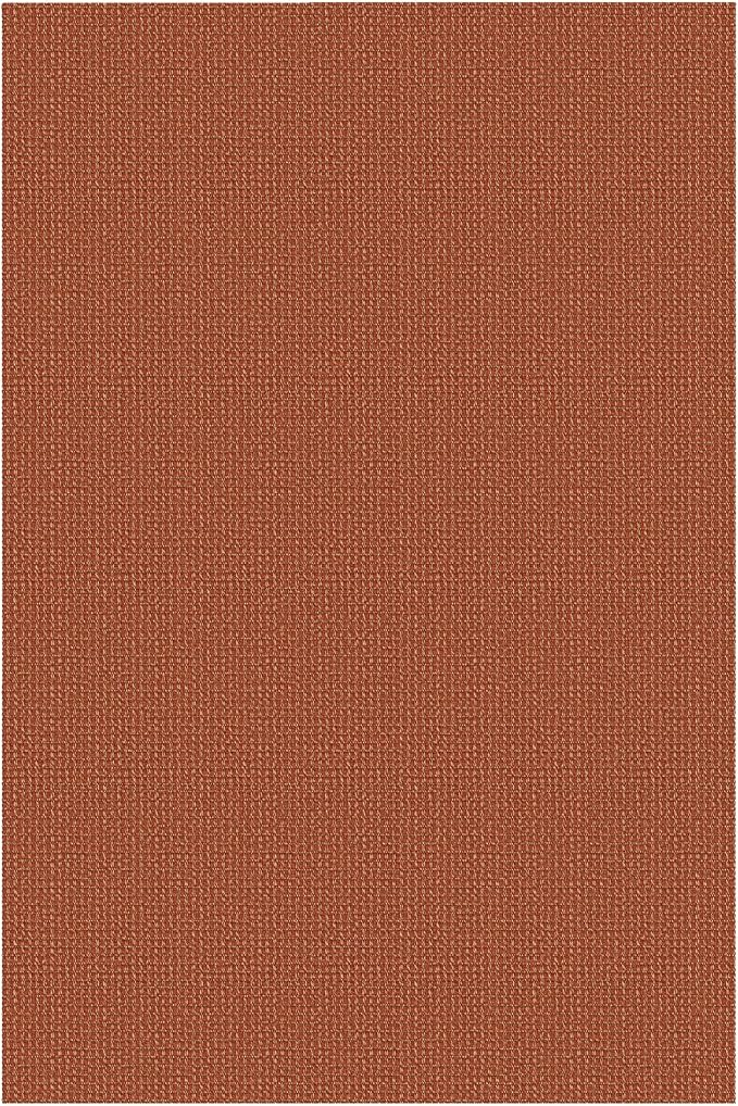 IOHOUZE Washable Area Rug 4x6 Non Slip Rubber Backed Woven Rugs