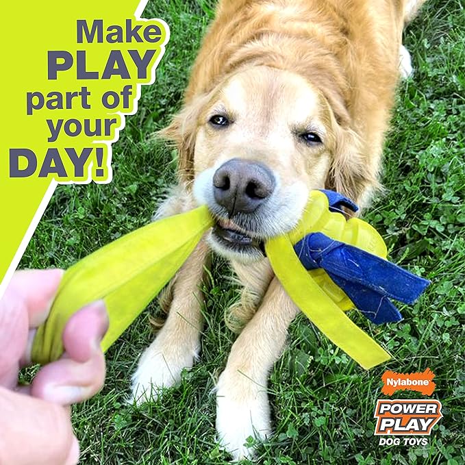 Nylabone Power Play Gripz Felt Basketball Rubber Fetch Toy, Squeaky Ball for Dogs, Medium (1 Count) (Pack of 2)