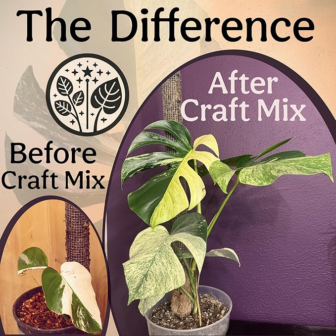 Craft Aroid Potting Mix- Elite Alocasia, Philodendron, Monstera Soil Mix, Chunky, Well Draining Potting Soil for Indoor Plants, All Tropical Plants & Houseplants, Peat Free 12QT