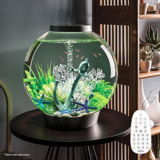 biOrb Classic 60 Acrylic 16-Gallon Aquarium with Multi-Color Remote-Controlled LED Lights Modern Tank for Tabletop Display, Black
