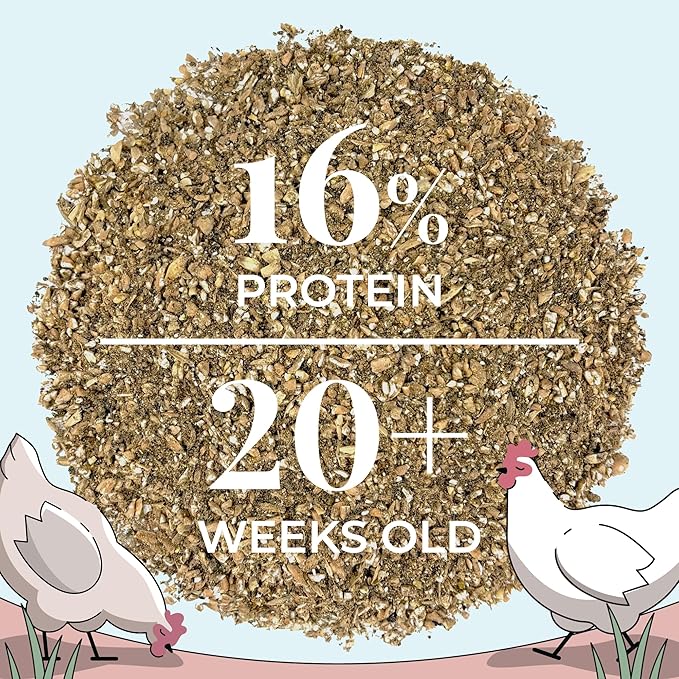 Organic Chicken Feed – Layer Mash, Non-GMO, USA Grown, 16% Protein, Corn-Free, Soy-Free, Non-Medicated Feed for Chickens, 46 lbs