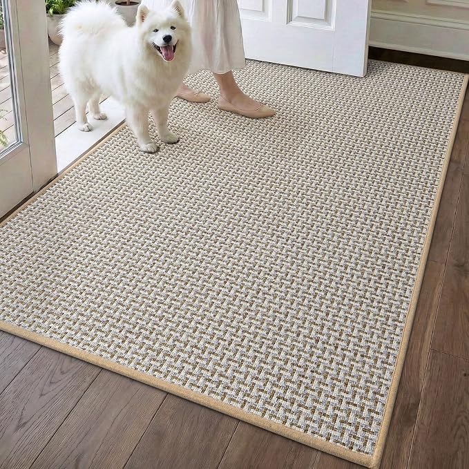 DEXI Ultra Thin Door Mat Indoor Entrance 32x48, Non Slip Rubber Backed Entryway