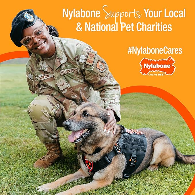 Nylabone Healthy Edibles Natural Dog Chews, Long Lasting Bones for Dogs, Peanut Butter Flavor Dog Treats, X-Large (1 Count)