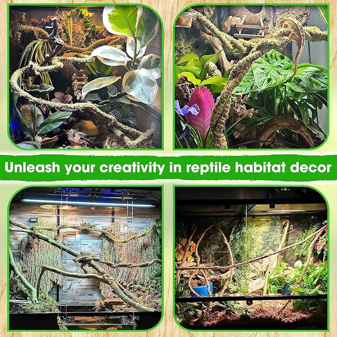 Duspro Reptile Decor Set Including 10FT Reptile Vine Climbing Bendable Branch & 04 OZ Natural Dried Forest Moss Bag Ideal for Bearded Dragon Chameleon Snake Gecko Lizard Terrarium Tank Accessories