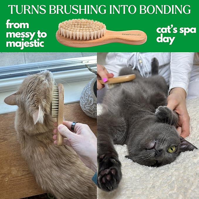 GranNaturals Boar Bristle Soft Cat Brush for Indoor, Outdoor, Short Haired Cats, Kittens, Small Dog, Rabbit, Furry Pets - Gentle Grooming on Sensitive Hair Coat & Tail with Durable Wooden Handle