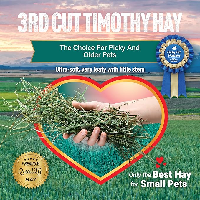 Small Pet Select 3rd Cutting Super Soft Timothy Hay Pet Food for Picky Eaters, Rabbits, Guinea Pigs, and Other Small Animals, Easy to Store Box, 5 LB