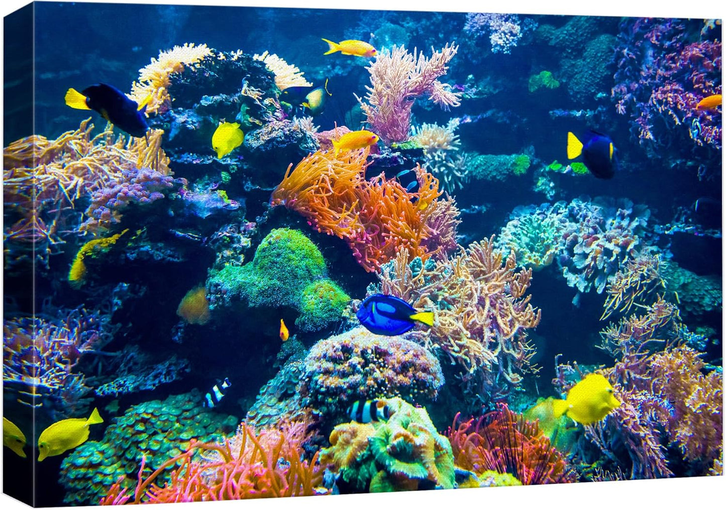 wall26 Canvas Print Wall Art Vibrant Multicolor Coral Reef Fish Ecosystem Nature Animals Photography Realism Rustic Scenic Landscape Wilderness Colorful for Living Room, Bedroom, Office - 12"x18"