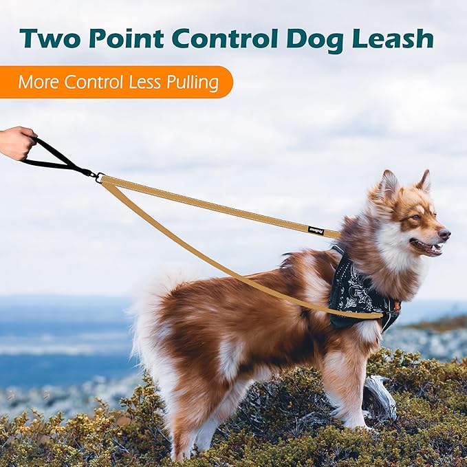 PetBonus Two Point Control Dog Leash, Works with No Pull Harnesses, No Tangle Training Leashes, Soft Padded and Reflective Walking Lead, Converts to Single Lead for Medium Large Dogs (Khaki)