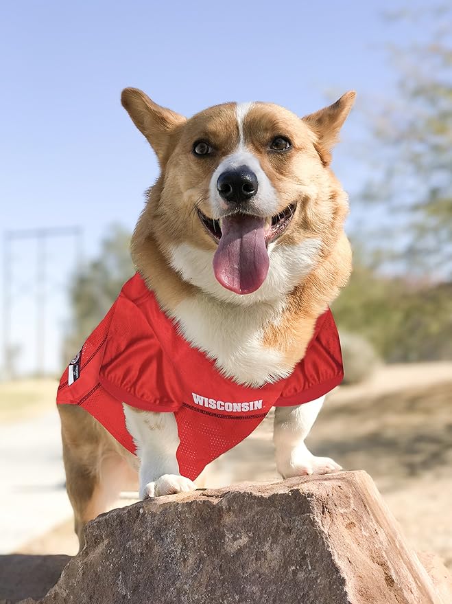 Pets First NCAA College Wisconsin Badgers Mesh Jersey for DOGS & CATS, XX-Large. Licensed Dog Jersey with your Favorite Football/Basketball College Team