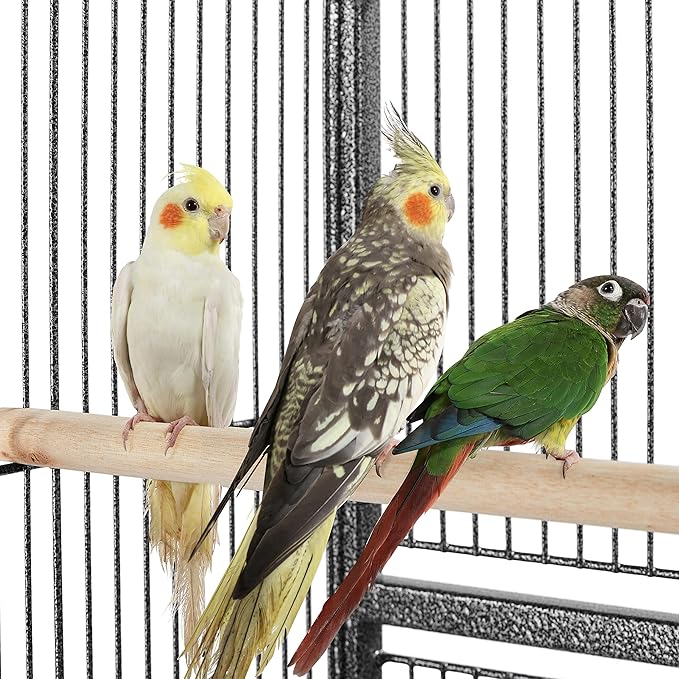 Yaheetech Wrought Iron Extra Large Bird Parakeet Cage with Detachable Stand for Cockatiel Sun Green Cheek Conure Lovebird Budgie Finch Canary Bird