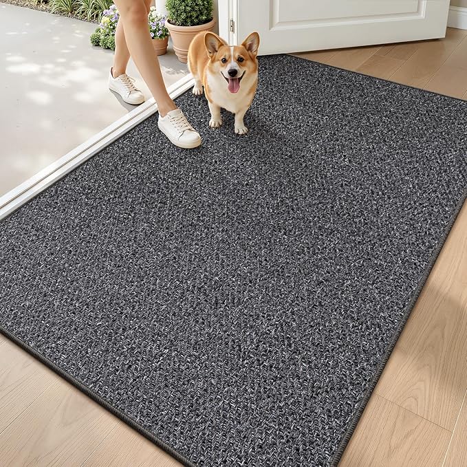 LUMI Ultra Thin Indoor Door Mat