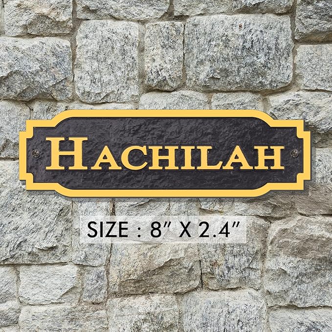 Acrylic Horse Stall Name Plate, 2.4" x 8" Personalized Stall Signs, UV Protected, Custom Pet Name Sign, All Weather Adhesive, Mounting (Gold, Style 2)