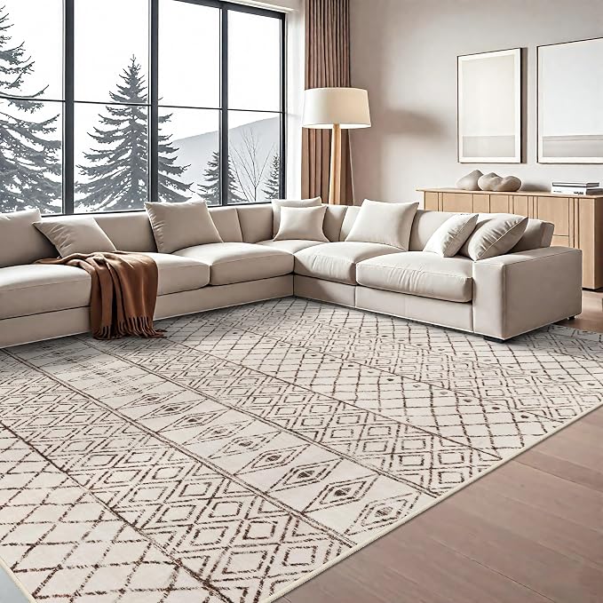 10 x 12 Area Rug