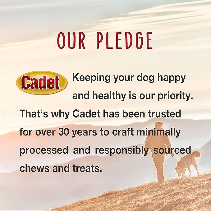 Cadet Gourmet Shish Kabob Dog Chews for Small Dogs, Rawhide Treats with Chicken, Duck and Sweet Potato, Healthy & Natural Beef Hide, 5-Inch Sticks, 24 oz