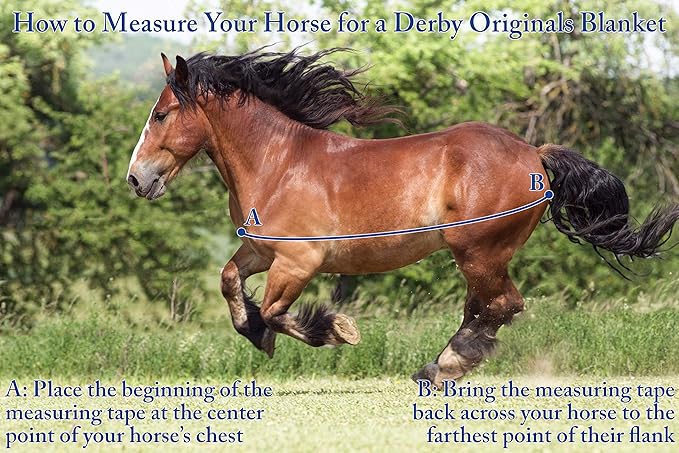 Derby Originals Nordic-Tough 1200D Heavyweight Mini Horse & Pony Turnout Blanket – Waterproof, Breathable, 300g Insulation, 210T Lining, Reflective, 2-Year Warranty (Turquoise, 44")