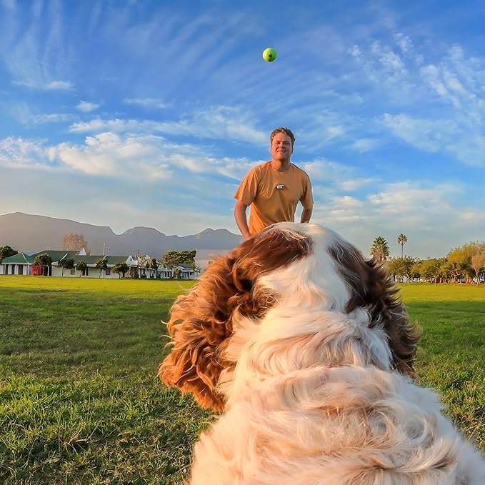 Insta360 GO 3/GO 3S Pet Harness Mount Medium