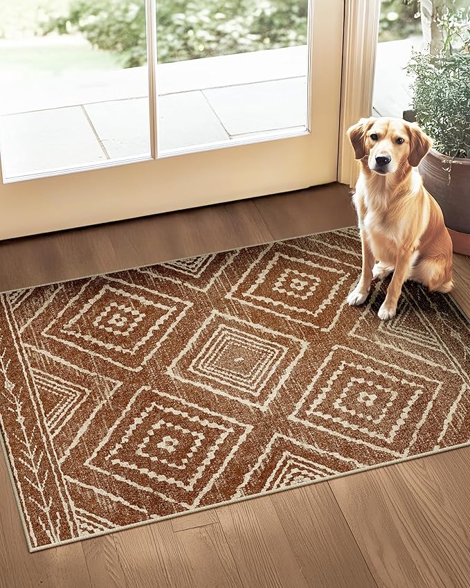 BESTSWEETIE Area Rug 2x3 Rug Machine Washable Non-Slip Low Pile Print Pattern