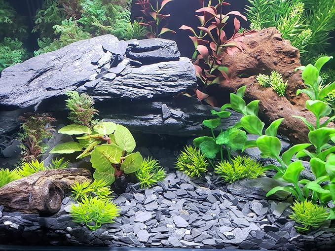 Small World Slate & Stone Aquarium Gravel 6lbs - Natural Substrate for Aquascaping Planted, Freshwater and Saltwater Tanks - Grey - Gravel Size Approx. 1/4"-1/2" (6 lbs)