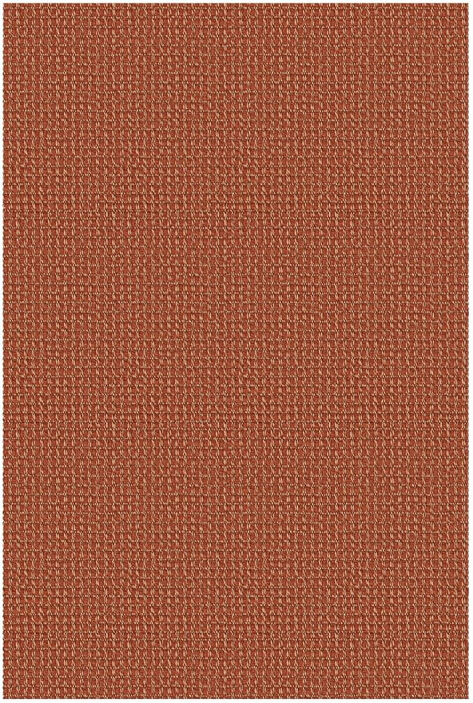 IOHOUZE Small Area Rug 2x3 Washable Woven Rugs