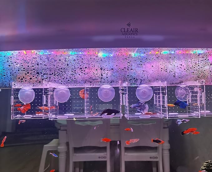 Acrylic Fish breeding Box, Acrylic Fish Isolation Box, Fish Separator for Aquarium, Hatchery Incubator with Suction Cups for Small Baby Fishes Shrimp Clownfish Guppy (3.9 * 3.9 * 3.9inch)