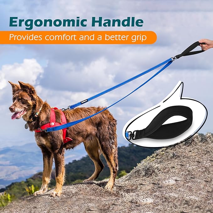 PetBonus Two Point Control Dog Leash, Works with No Pull Harnesses, No Tangle Training Leashes, Soft Padded and Reflective Walking Lead, Converts to Single Lead for Medium Large Dogs (Blue)