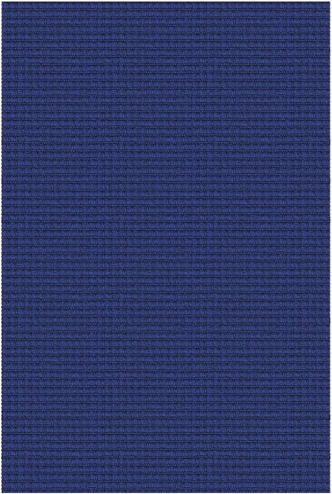 IOHOUZE Small Area Rug 2x3 Washable Woven Rugs
