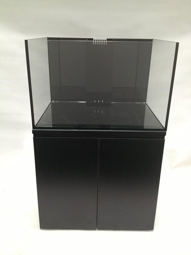 SCA 66 Gallon Starfire Rimless Aquariums Pnp System 32x24x20 10mm with Built-in Overflow