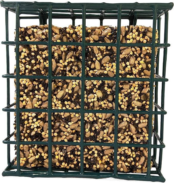 Songbird Treats Seed Bars | 12 Pack of 8 oz Bird Seed Cakes for Wild Birds (Nutty's Berries)