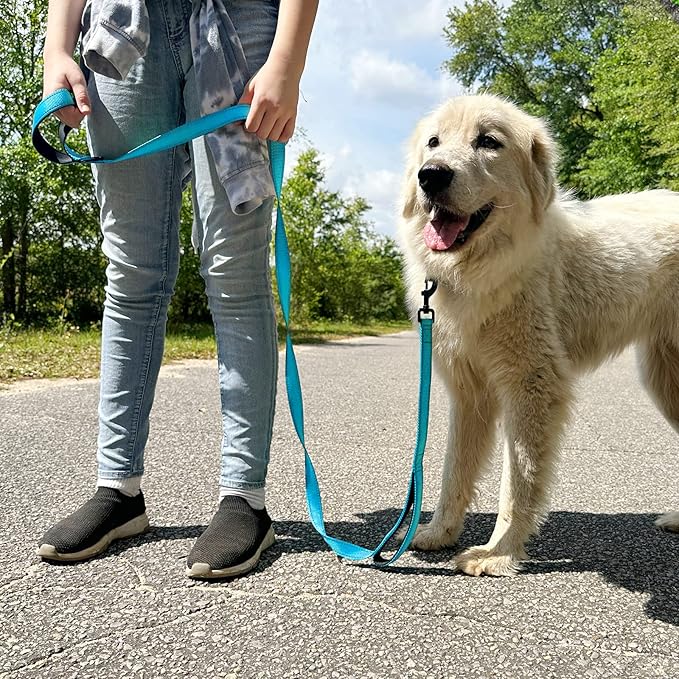 Joytale Dog Leash Heavy Duty for Large Dogs that Pull, Double Handle for Traffic Control, Double-Sided Reflective Leashes for Large Medium Dogs Night Safety, 5FT, Aqua Blue