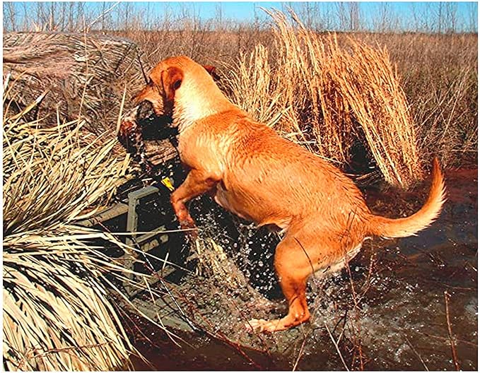 GREAT DAY Load-A-Pup HD 14x20in Robust Safety Pet Loading Platform - for The Hunting Dog - Earth-Tone Gray Powder-Coated Finish - Intended for Use in Fresh Water, LP500HD
