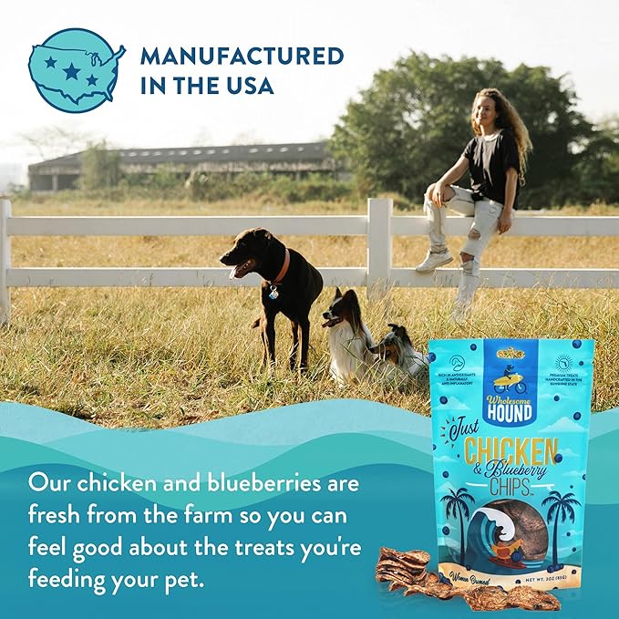 Chicken & Blueberry Chips – 2 Simple Ingredient Dog Treats, All Natural & Healthy Training Snacks for Small, Medium & Large Breeds, Puppies – High Protein, Made in US 3oz